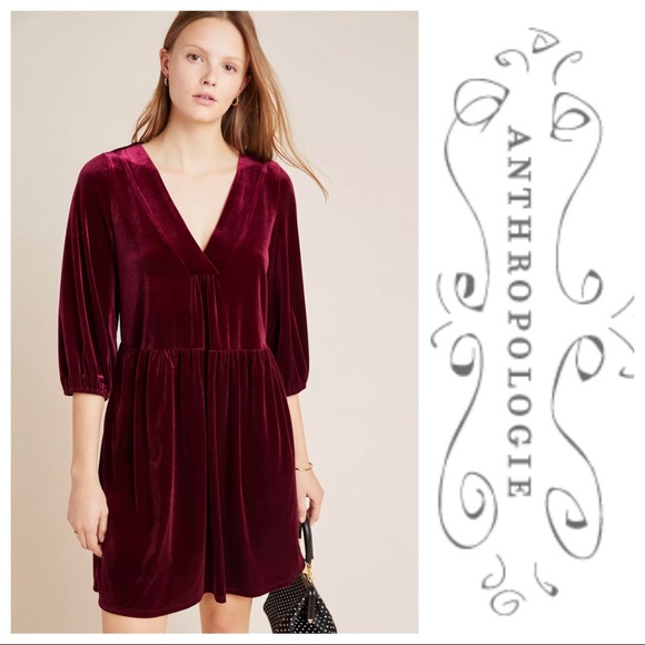 Anthropologie Dresses & Skirts - NWT Amadi Greta Velvet Tunic